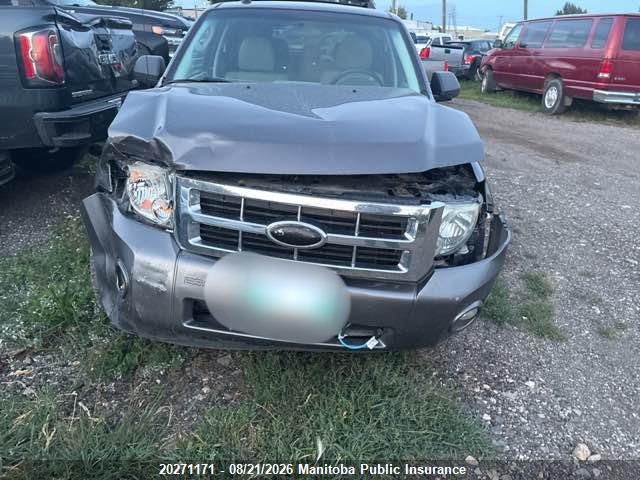 Продажа на аукционе авто 2009 Ford Escape Xlt V6, vin: 1FMCU93G29KC29355, номер лота: 20271171