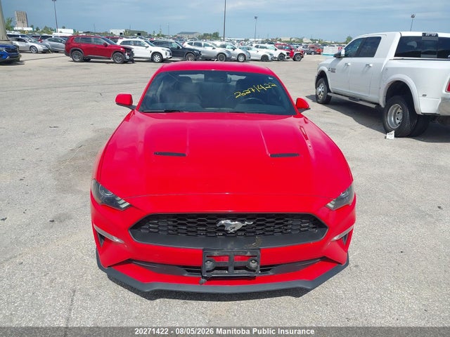 Ford Mustang 2019 1FA6P8TH9K5107324 Image 13