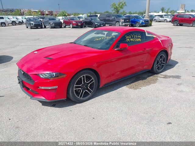 Ford Mustang 2019 1FA6P8TH9K5107324 Image 2