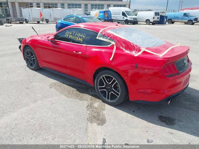 Ford Mustang 2019 1FA6P8TH9K5107324 Image 3