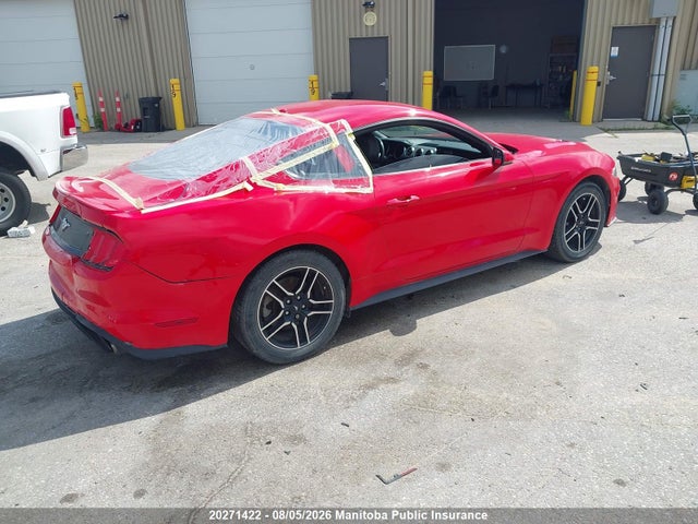 Ford Mustang 2019 1FA6P8TH9K5107324 Image 4