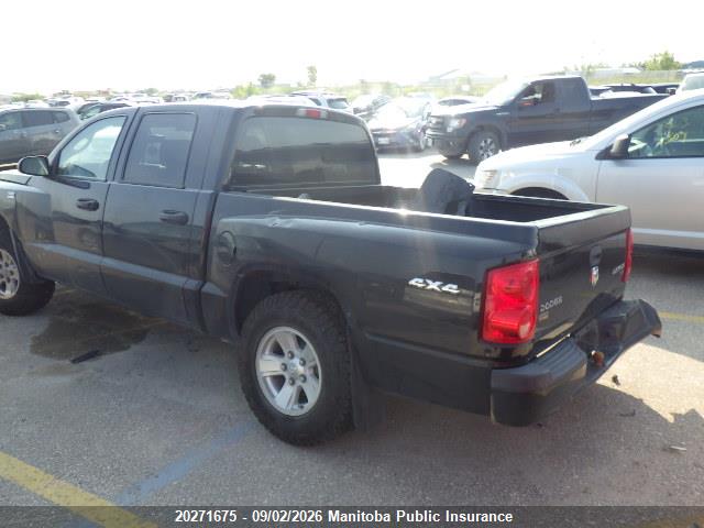 Aukcja sprzedaży 2009 Dodge Dakota Sxt V8 Crew Cab, vin: 1D7HW38P39S798277, numer aukcji: 20271675