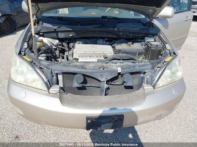 2004 Lexus Rx330 მანქანა იყიდება აუქციონზე, vin: JTJHA31U440060739, აუქციონის ნომერი: 20271683