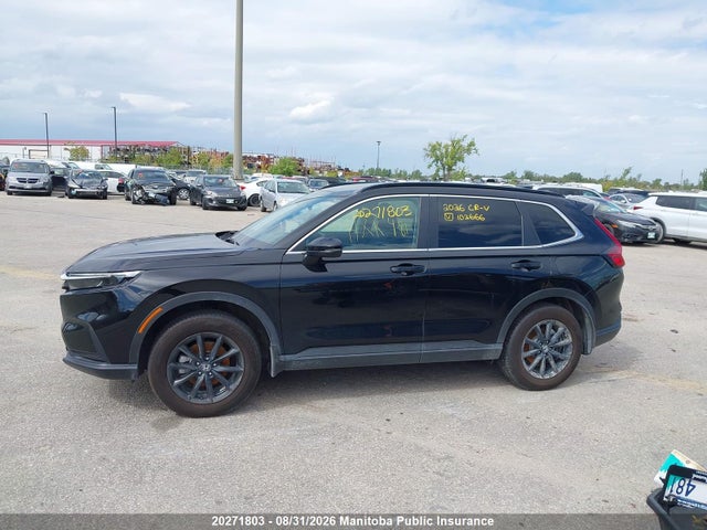 2HKRS4H58TH103666 Honda Cr-v Sport