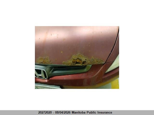 2004 Honda Accord Ex-l მანქანა იყიდება აუქციონზე, vin: 1HGCM56644A804037, აუქციონის ნომერი: 20272020