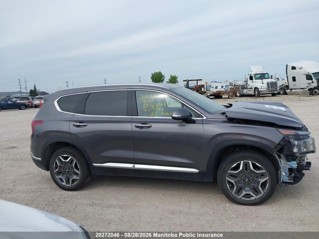 2023 Hyundai Santa Fe Luxury Hybrid მანქანა იყიდება აუქციონზე, vin: KM8S5DA14PU091622, აუქციონის ნომერი: 20272046