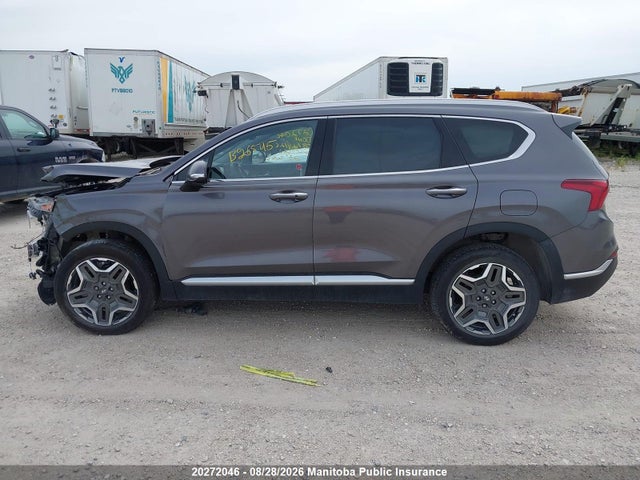 2023 Hyundai Santa Fe Luxury Hybrid მანქანა იყიდება აუქციონზე, vin: KM8S5DA14PU091622, აუქციონის ნომერი: 20272046