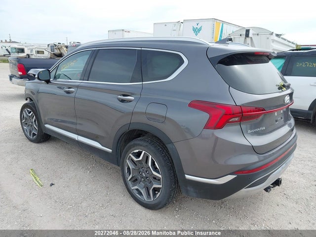 2023 Hyundai Santa Fe Luxury Hybrid მანქანა იყიდება აუქციონზე, vin: KM8S5DA14PU091622, აუქციონის ნომერი: 20272046