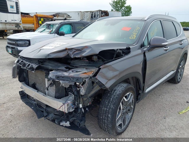 2023 Hyundai Santa Fe Luxury Hybrid მანქანა იყიდება აუქციონზე, vin: KM8S5DA14PU091622, აუქციონის ნომერი: 20272046