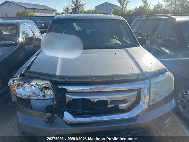 Продаж на аукціоні авто 2010 Honda Pilot Ex-l, vin: 5FNYF4H57AB503732, номер лоту: 20272056