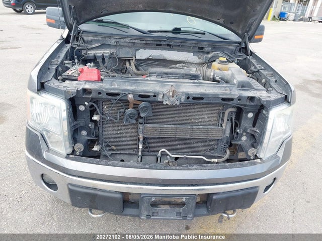 20272102 :رقم المزاد ، 1FTFW1EF6EKD96250 vin ، 2014 Ford F150 Xlt Supercrew مزاد بيع