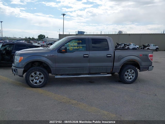 20272102 :رقم المزاد ، 1FTFW1EF6EKD96250 vin ، 2014 Ford F150 Xlt Supercrew مزاد بيع