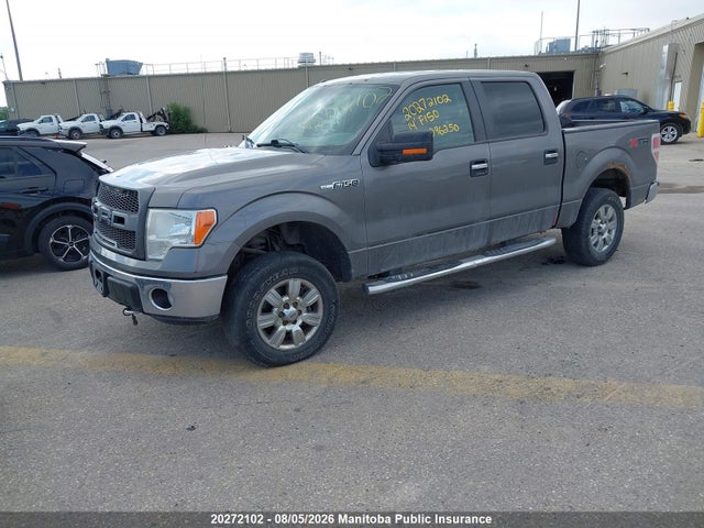 20272102 :رقم المزاد ، 1FTFW1EF6EKD96250 vin ، 2014 Ford F150 Xlt Supercrew مزاد بيع