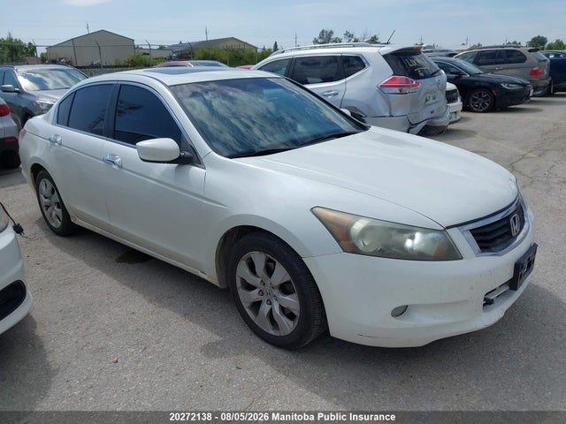Auction sale of the 2009 Honda Accord Ex-l V6, vin: 1HGCP36829A800556, lot number: 20272138