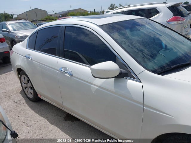 Aukcja sprzedaży 2009 Honda Accord Ex-l V6, vin: 1HGCP36829A800556, numer aukcji: 20272138