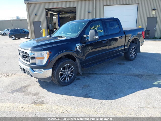 Продаж на аукціоні авто 2021 Ford F150 Xlt Supercrew, vin: 1FTFW1E88MFB55850, номер лоту: 20272249