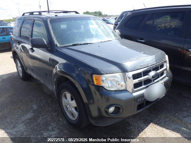Продажа на аукционе авто 2009 Ford Escape Xlt V6, vin: 1FMCU93G69KC18505, номер лота: 20272578
