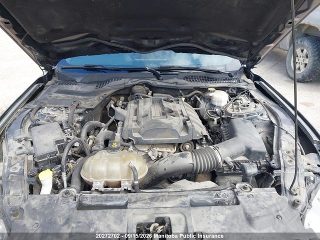 Ford Mustang 2019 1FA6P8TH3K5103107 Image 10