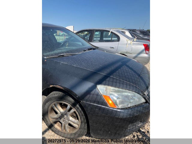 2006 Honda Accord Ex მანქანა იყიდება აუქციონზე, vin: 1HGCM568X6A804144, აუქციონის ნომერი: 20272975