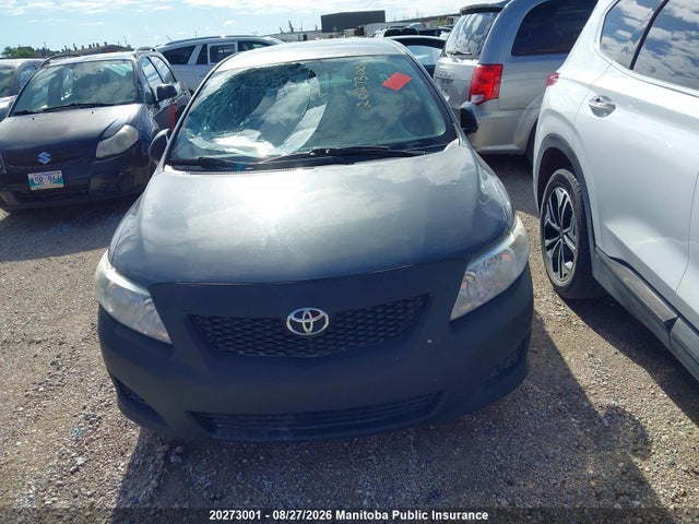 2010 Toyota Corolla Le მანქანა იყიდება აუქციონზე, vin: 2T1BU4EE9AC391083, აუქციონის ნომერი: 20273001