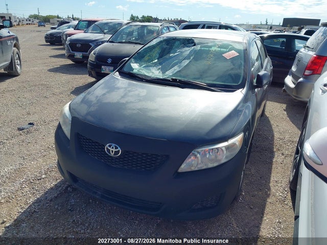 2010 Toyota Corolla Le მანქანა იყიდება აუქციონზე, vin: 2T1BU4EE9AC391083, აუქციონის ნომერი: 20273001