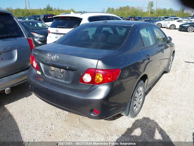 2010 Toyota Corolla Le მანქანა იყიდება აუქციონზე, vin: 2T1BU4EE9AC391083, აუქციონის ნომერი: 20273001