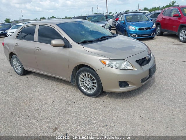 2010 Toyota Corolla Ce მანქანა იყიდება აუქციონზე, vin: 2T1BU4EE4AC244542, აუქციონის ნომერი: 20273033