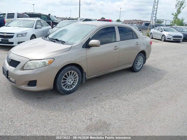 2010 Toyota Corolla Ce მანქანა იყიდება აუქციონზე, vin: 2T1BU4EE4AC244542, აუქციონის ნომერი: 20273033