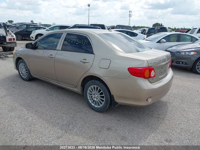 2010 Toyota Corolla Ce მანქანა იყიდება აუქციონზე, vin: 2T1BU4EE4AC244542, აუქციონის ნომერი: 20273033