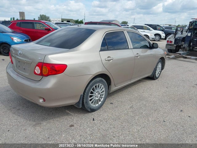2010 Toyota Corolla Ce მანქანა იყიდება აუქციონზე, vin: 2T1BU4EE4AC244542, აუქციონის ნომერი: 20273033