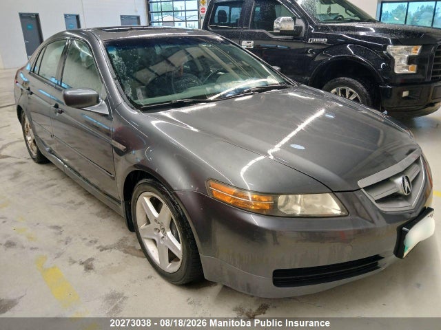 Продаж на аукціоні авто 2006 Acura Tl, vin: 19UUA65656A800845, номер лоту: 20273038