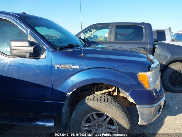 Продаж на аукціоні авто 2009 Ford F150 Xlt Supercrew, vin: 1FTPW14V79FA71263, номер лоту: 20273040