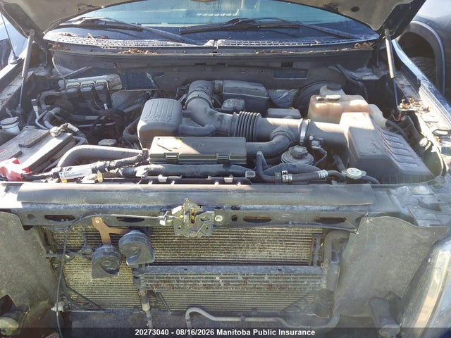 Продаж на аукціоні авто 2009 Ford F150 Xlt Supercrew, vin: 1FTPW14V79FA71263, номер лоту: 20273040