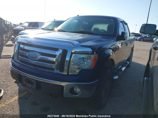 Продаж на аукціоні авто 2009 Ford F150 Xlt Supercrew, vin: 1FTPW14V79FA71263, номер лоту: 20273040