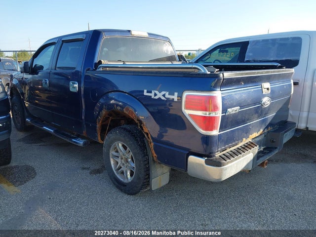 Продаж на аукціоні авто 2009 Ford F150 Xlt Supercrew, vin: 1FTPW14V79FA71263, номер лоту: 20273040