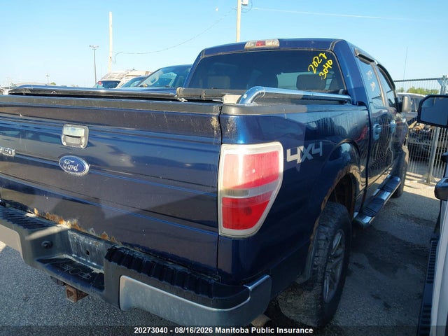 Продаж на аукціоні авто 2009 Ford F150 Xlt Supercrew, vin: 1FTPW14V79FA71263, номер лоту: 20273040