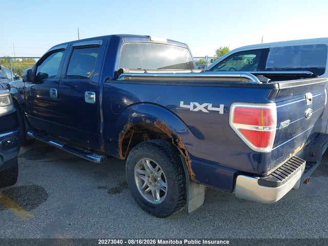 Продаж на аукціоні авто 2009 Ford F150 Xlt Supercrew, vin: 1FTPW14V79FA71263, номер лоту: 20273040