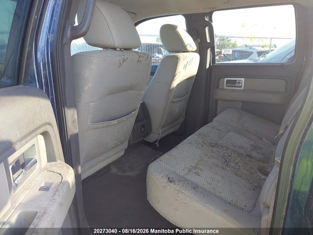 Продаж на аукціоні авто 2009 Ford F150 Xlt Supercrew, vin: 1FTPW14V79FA71263, номер лоту: 20273040