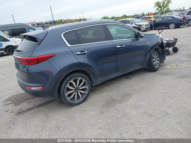 Продаж на аукціоні авто 2017 Kia Sportage Ex, vin: KNDPNCAC7H7087375, номер лоту: 20273046