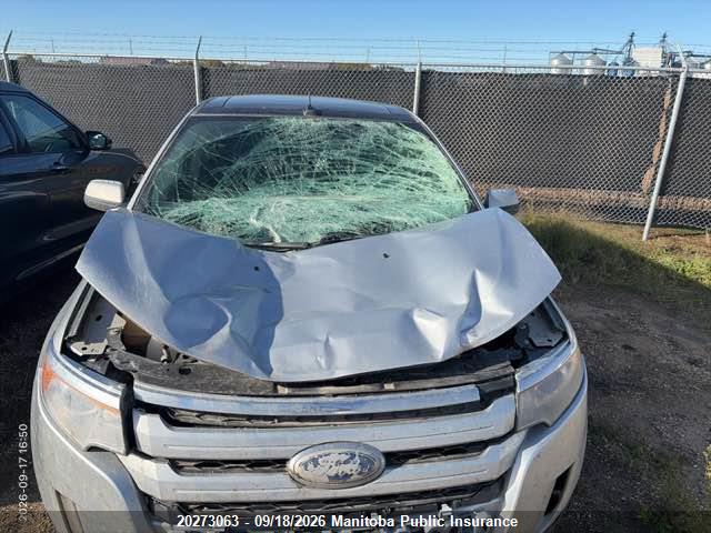 Ford EDGE SEL 2014 2FMDK4JC7EBA96514 Image 6