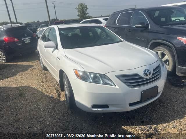 2008 Toyota Camry Hybrid მანქანა იყიდება აუქციონზე, vin: 4T1BB46K48U049169, აუქციონის ნომერი: 20273067
