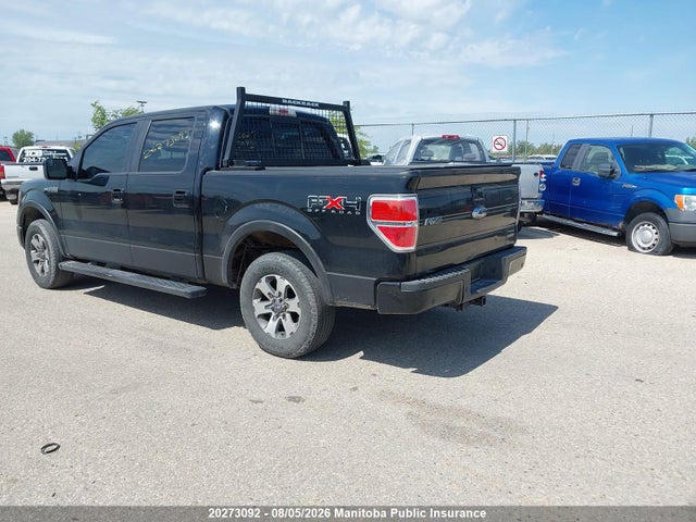 Продаж на аукціоні авто 2011 Ford F150 Fx4 Supercrew, vin: 1FTFW1EF4BFC61319, номер лоту: 20273092