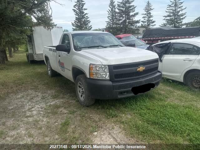 2008 Chevrolet Silverado 1500 Wt მანქანა იყიდება აუქციონზე, vin: 1GCEC14CX8E137291, აუქციონის ნომერი: 20273148