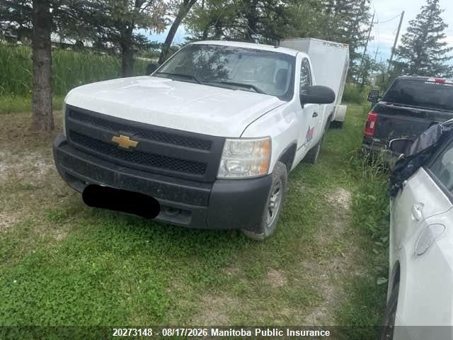 2008 Chevrolet Silverado 1500 Wt მანქანა იყიდება აუქციონზე, vin: 1GCEC14CX8E137291, აუქციონის ნომერი: 20273148