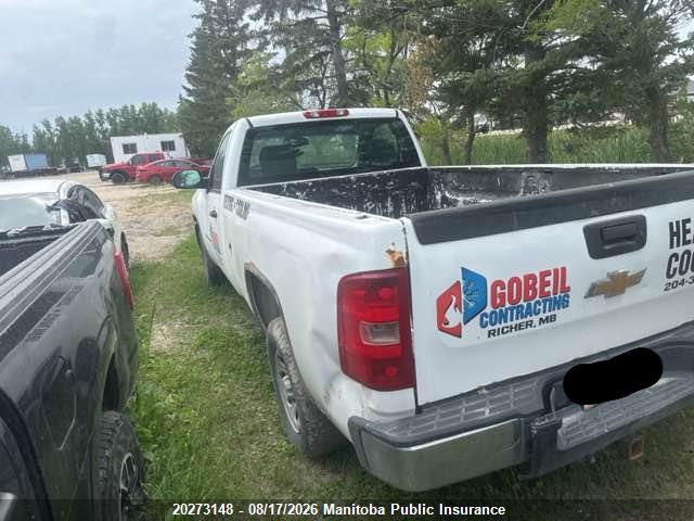 2008 Chevrolet Silverado 1500 Wt მანქანა იყიდება აუქციონზე, vin: 1GCEC14CX8E137291, აუქციონის ნომერი: 20273148