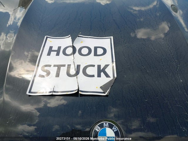 BMW X3 30i 2023 5UX53DP06P9P55183 Image 10