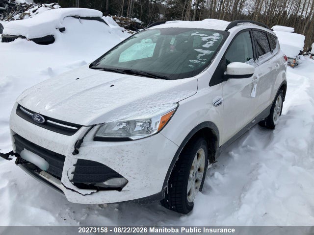 Ford ESCAPE SE 2016 1FMCU9G96GUC70147 Image 2