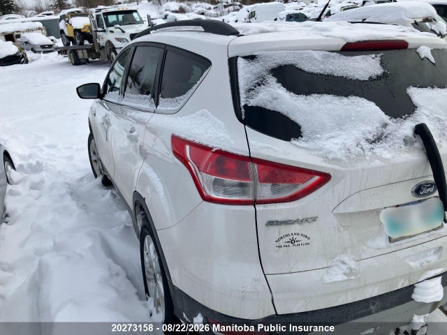 Ford ESCAPE SE 2016 1FMCU9G96GUC70147 Image 3