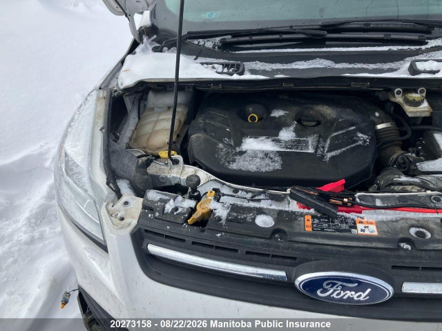 Ford ESCAPE SE 2016 1FMCU9G96GUC70147 Image 6