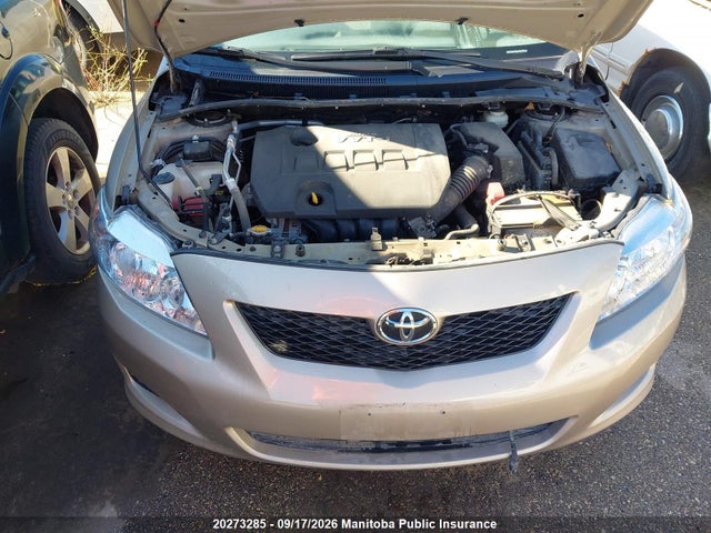 Продажа на аукционе авто 2010 Toyota Corolla Ce, vin: 2T1BU4EE6AC246762, номер лота: 20273285